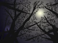 woodsfullmoonlight200.jpg(10325 �޲�)