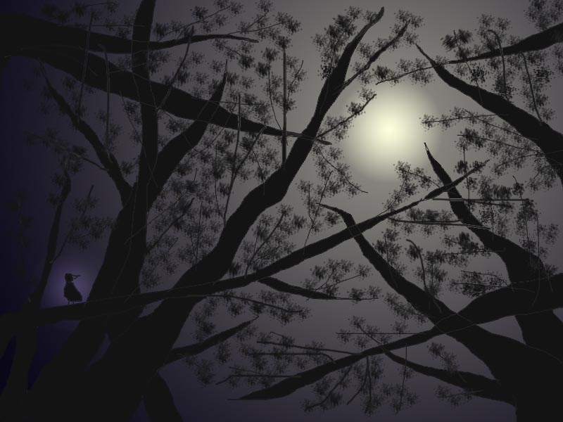 woods&moonlight