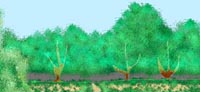 GREEN200.jpg(8949 �޲�)