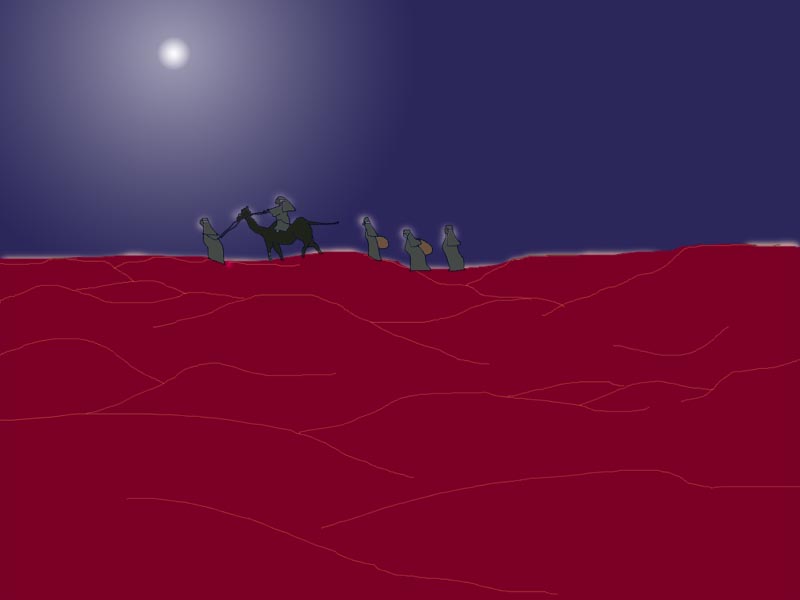 desert in the night
